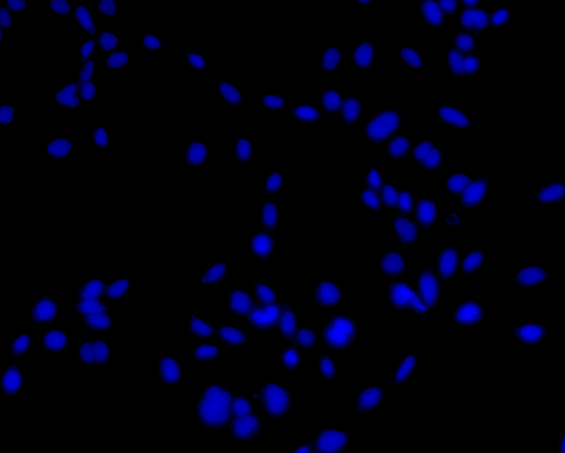 1686297214870341.jpg