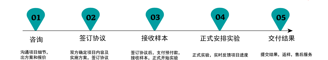 项目服务流程.jpg
